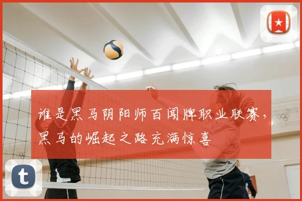 谁是黑马阴阳师百闻牌职业联赛，黑马的崛起之路充满惊喜