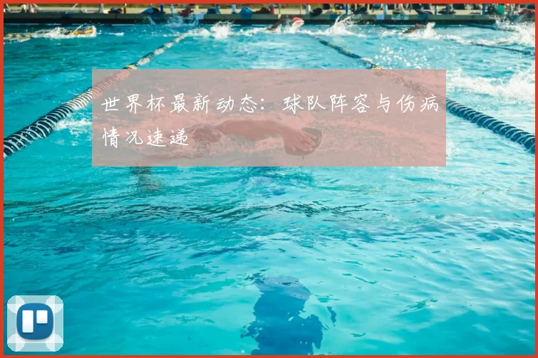 世界杯最新动态：球队阵容与伤病情况速递