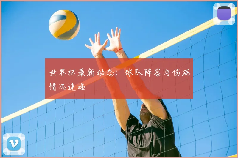 世界杯最新动态：球队阵容与伤病情况速递
